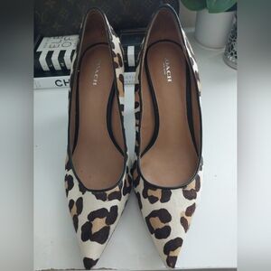Coach Leopard Ponyhair Pumps